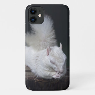 Nutty's Prayer iPhone 11 Case