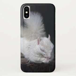 Nutty's Prayer iPhone X Case