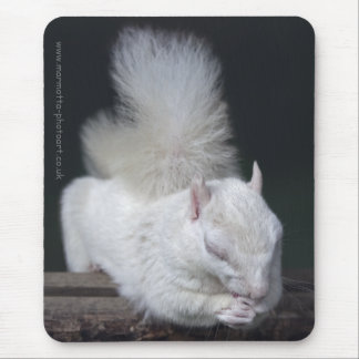 Nutty's Prayer Mousemat