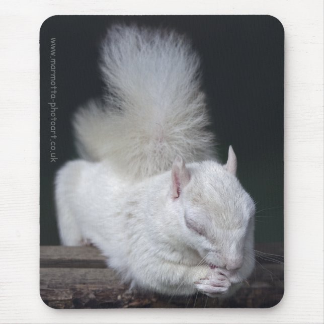 Nutty's Prayer Mousemat (Front)
