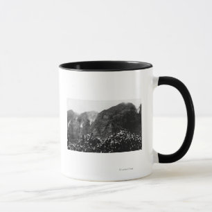 Nuuanu Valley, Hawaii - View of Upside Down Fall Mug