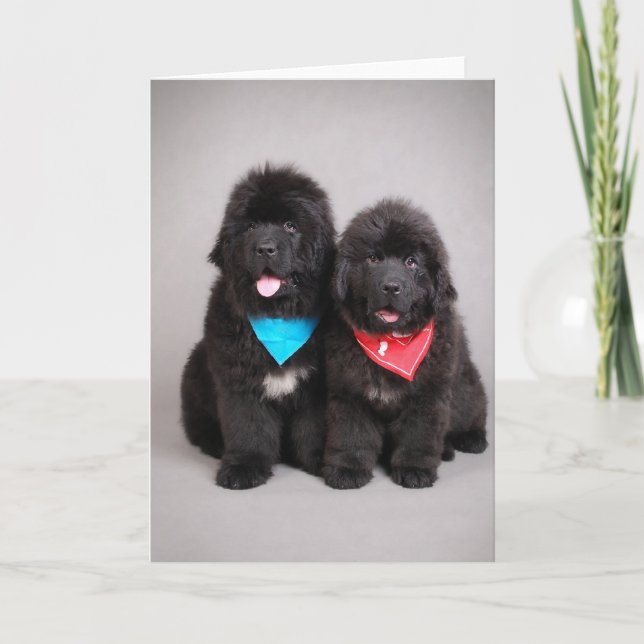Nuwfie brothers card (Front)