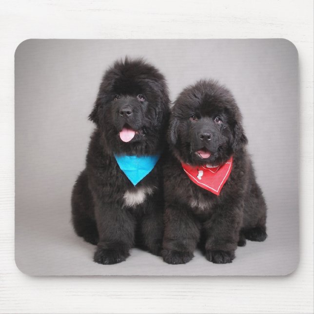 Nuwfie brothers mouse mat (Front)