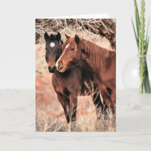 Nuzzling Horses Holiday Card