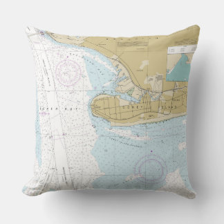 NY_coney island Cushion