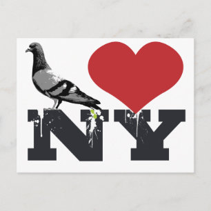 NY Pigeon Postcard