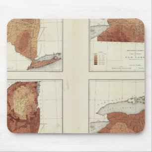 NY rainfall, population, elevation, temperature Mouse Mat