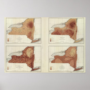 NY rainfall, population, elevation, temperature Poster