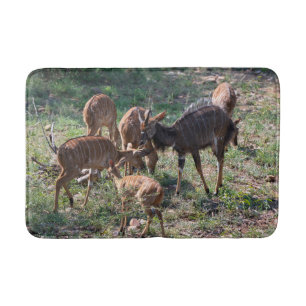 Nyala Antelope Wildlife Photography Bath Mat
