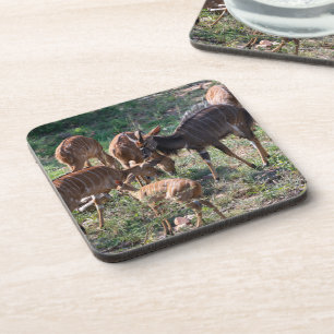Nyala in Nature – African Animal Artwork Coaster