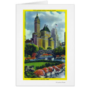 NYC Central Park View of 5th Ave Hotels