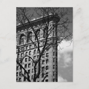 NYC Flat Iron Building Postcard
