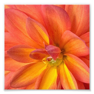 NYC flowers Photo Print