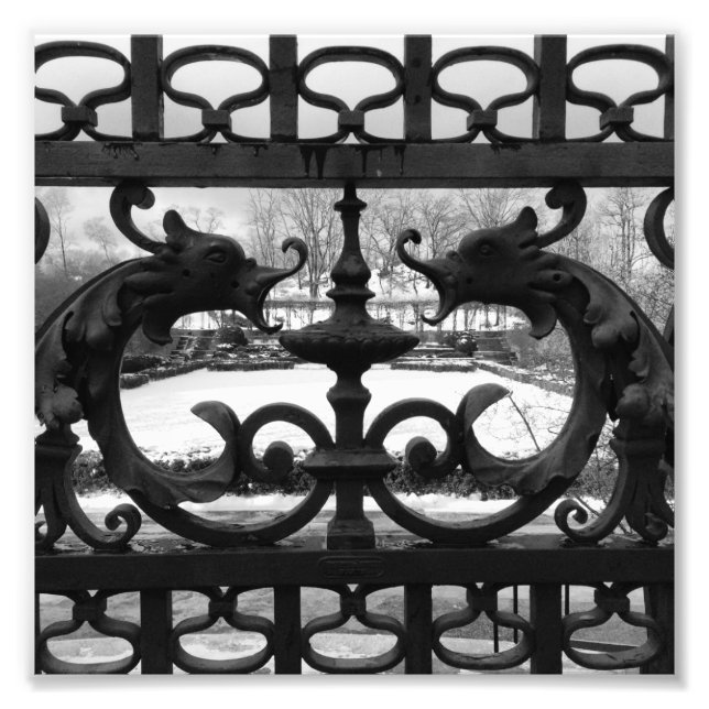 NYC Gardens Photo Print (Front)
