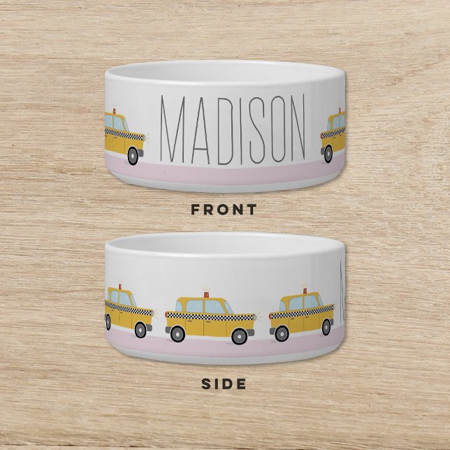 NYC Taxi Dog Cat Pet (Creator Uploaded)