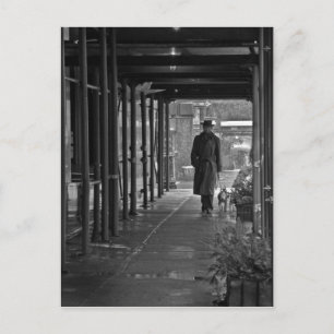 NYC Winter Dog Walker Postcard