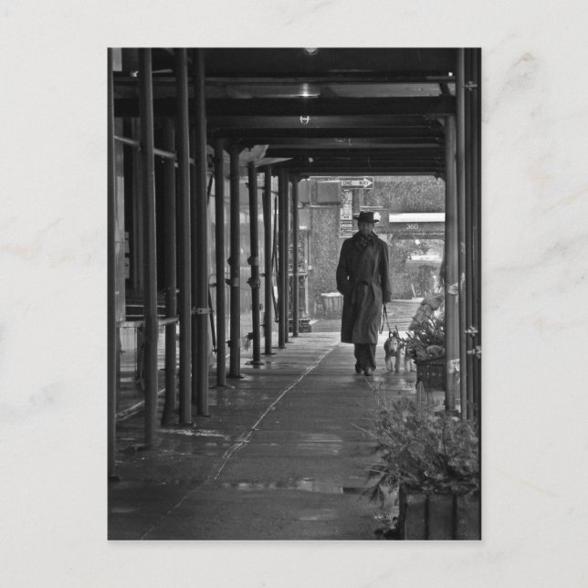 NYC Winter Dog Walker Postcard (Front)