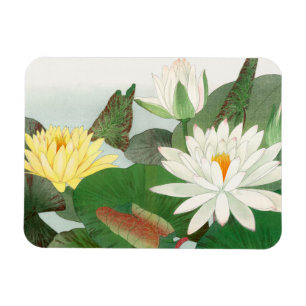 Nymphaea lotus, Japanese woodblock print, 1917 Magnet