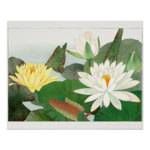 Nymphaea lotus, Japanese woodblock print, 1917 Poster