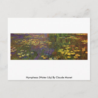 Nympheas (Water Lily) By Claude Monet Postcard