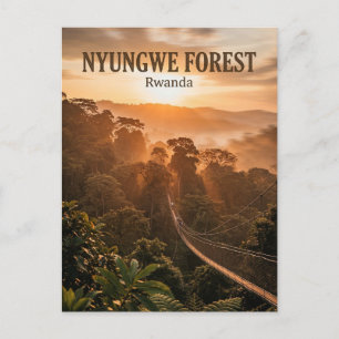 Nyungwe Forest, Rusizi, Western Province Postcard