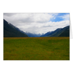 nz field