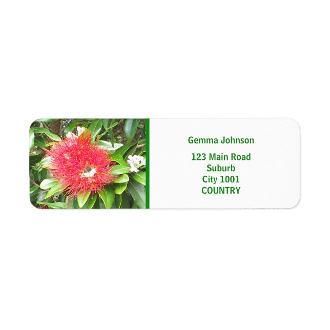 NZ RED POHUTUKAWA FLOWER NEW ZEALAND KIWI XMAS  (Front)