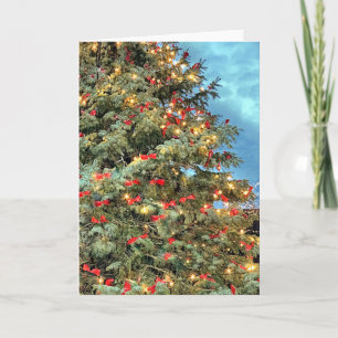 O Christmas Tree Holiday Card