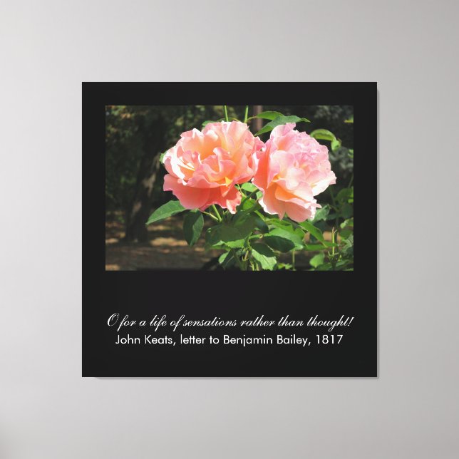 O for a life of sensations . . . (John Keats) Canvas Print (Front)