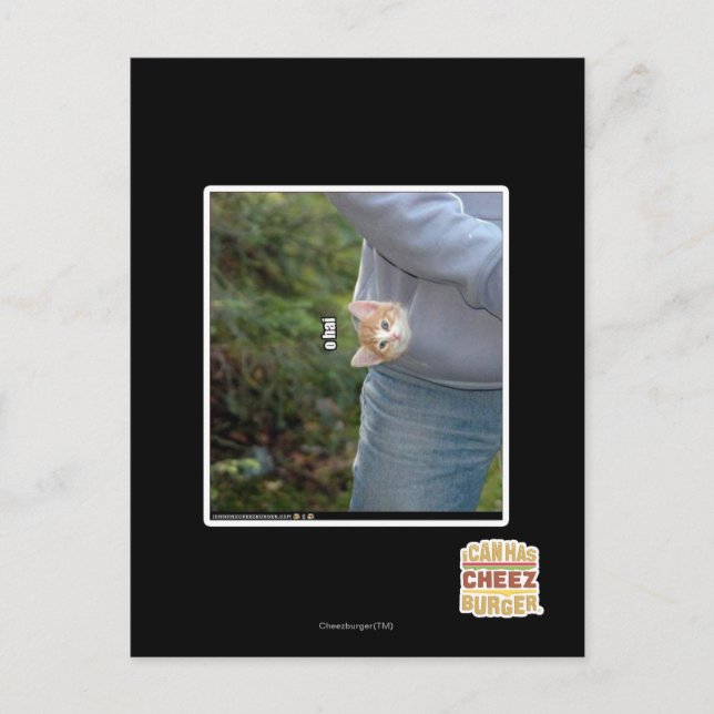 O hai postcard (Front)