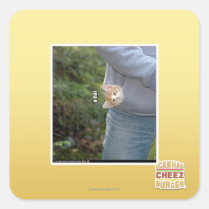 O hai square sticker