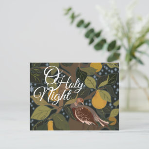 O Holy Night Partridge In A Pear Tree Post Card