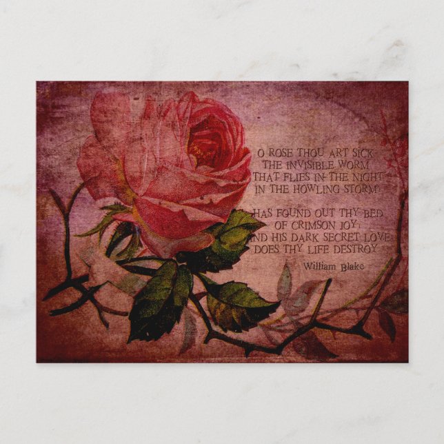 O Rose Thou Art Sick Postcard (Front)