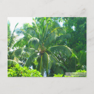 OAHU,HAWAII #17 POSTCARD