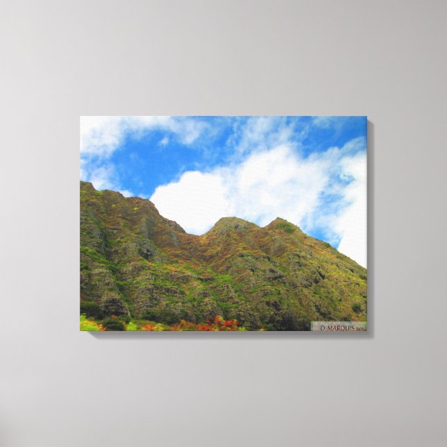 OAHU HAWAII #20 CANVAS PRINT (Front)