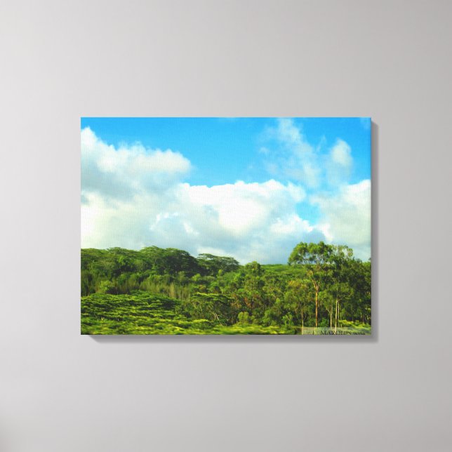 OAHU HAWAII #23 CANVAS PRINT (Front)