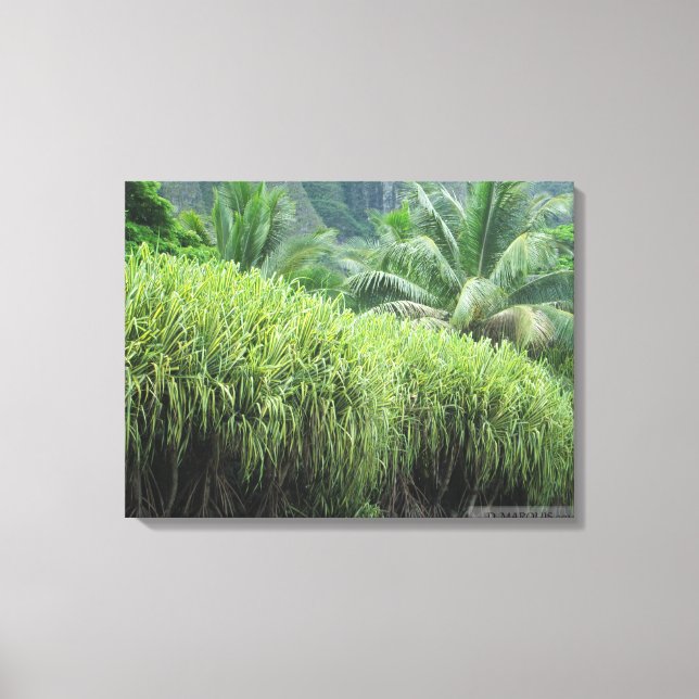 OAHU HAWAII #2 CANVAS PRINT (Front)