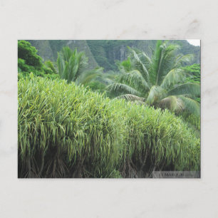 OAHU,HAWAII #2 POSTCARD