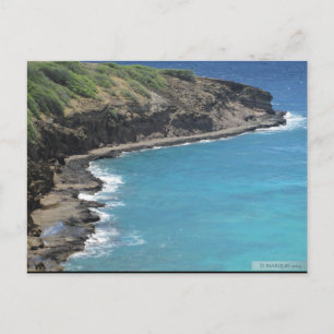 OAHU,HAWAII#4 POSTCARD