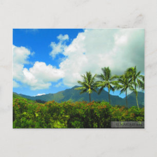 OAHU,HAWAII#6 POSTCARD