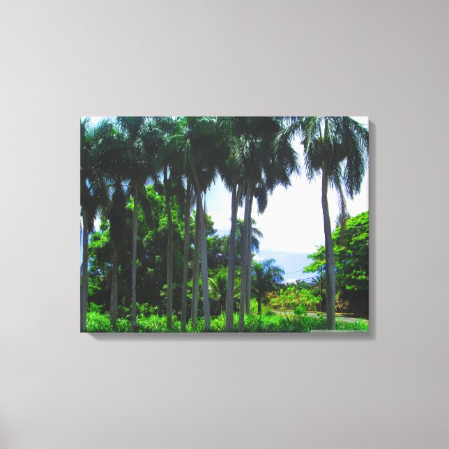 OAHU HAWAII #9 CANVAS PRINT (Front)