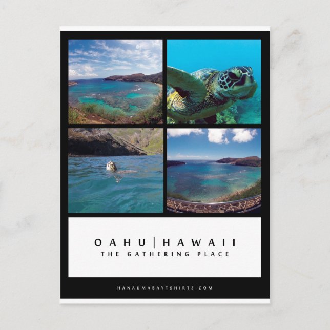 Oahu Hawaii Hanauma Bay Post Card (Front)