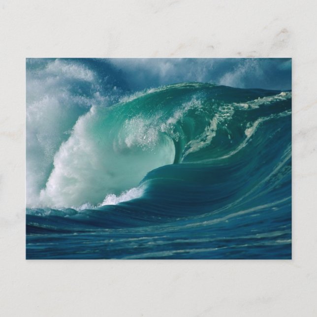 Oahu, Hawaii Postcard (Front)