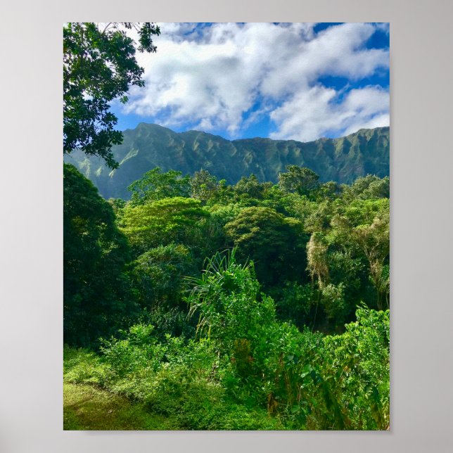 Oahu, Hawaii Rainforest Poster (Front)
