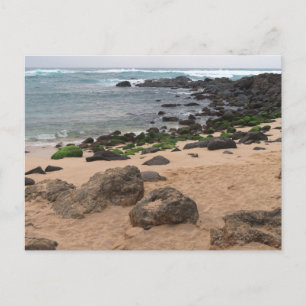 Oahu’s North Shore and Sea Turtle Postcard