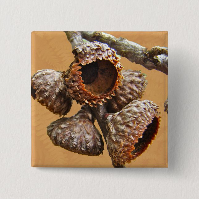 Oak Acorn Caps 15 Cm Square Badge (Front)