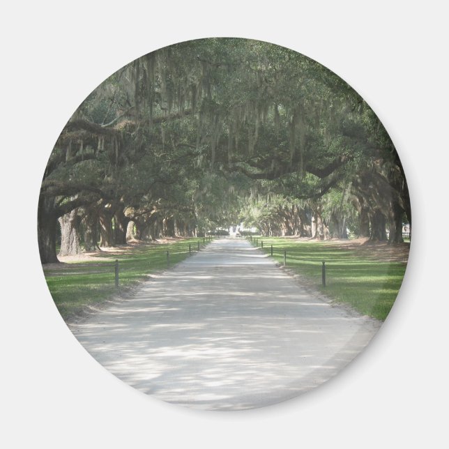 Oak Alley at Boone Hall, Charleston SC Magnet (Front)