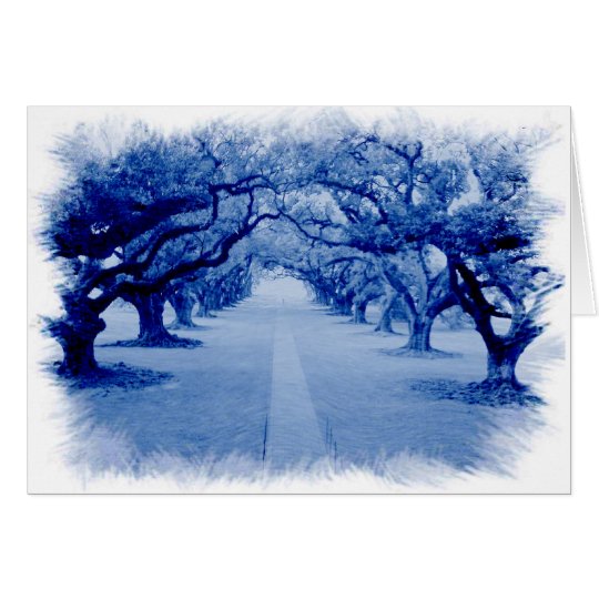 Oak Alley Card