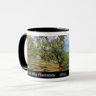 Oak Alley Plantation, Louisiana - Live Oak Trees Mug