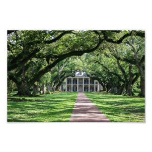 Oak Alley Plantation Photo Print